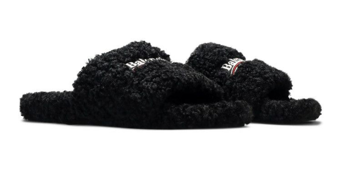 BLN Slides